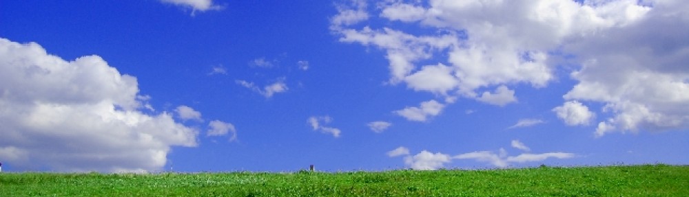 柏市手をつなぐ育成会