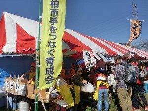 2015 柏エコマラソン1