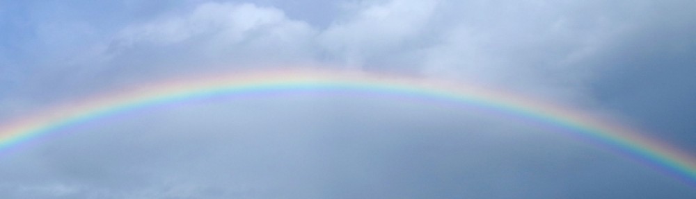 柏市手をつなぐ育成会